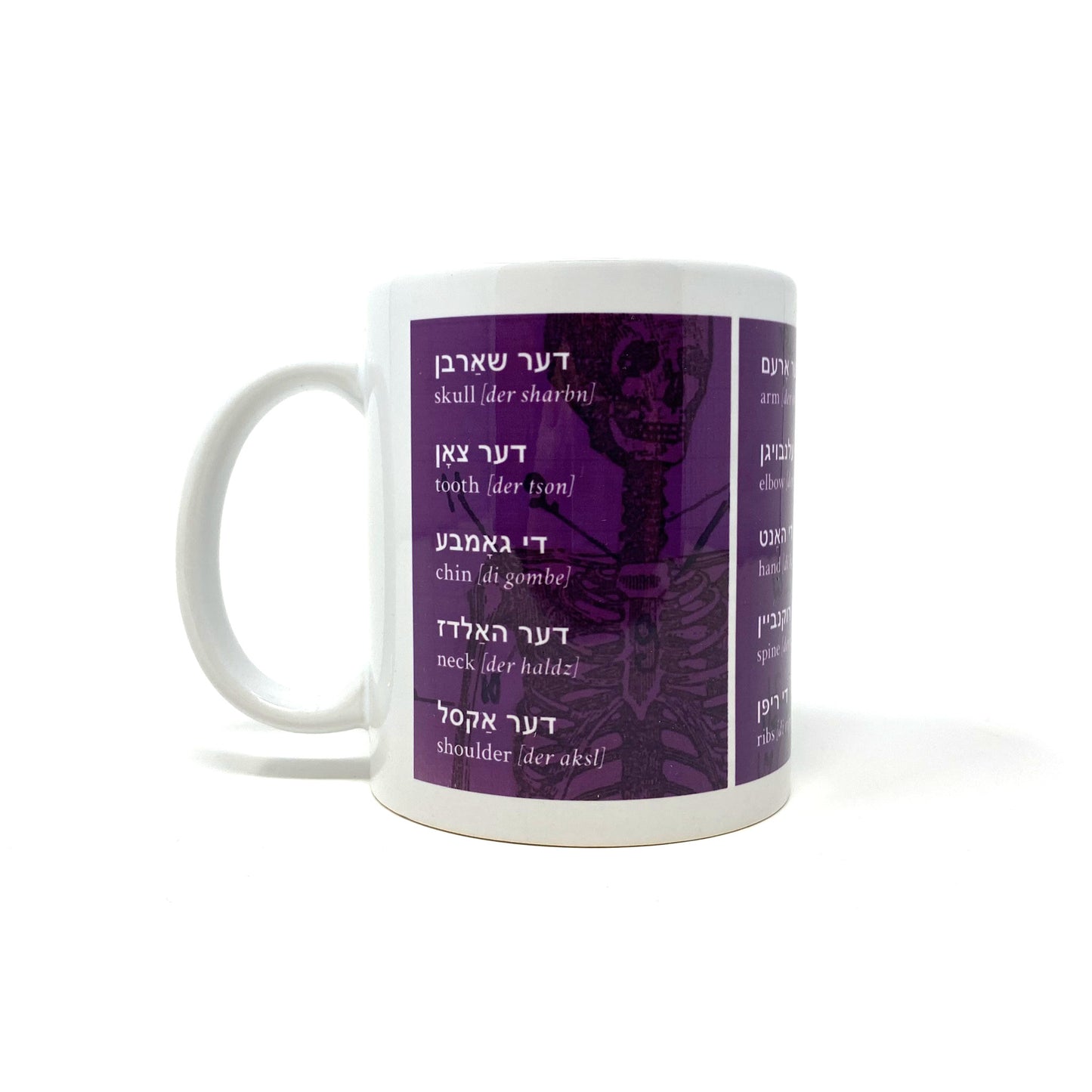 Yiddish Anatomy Mug