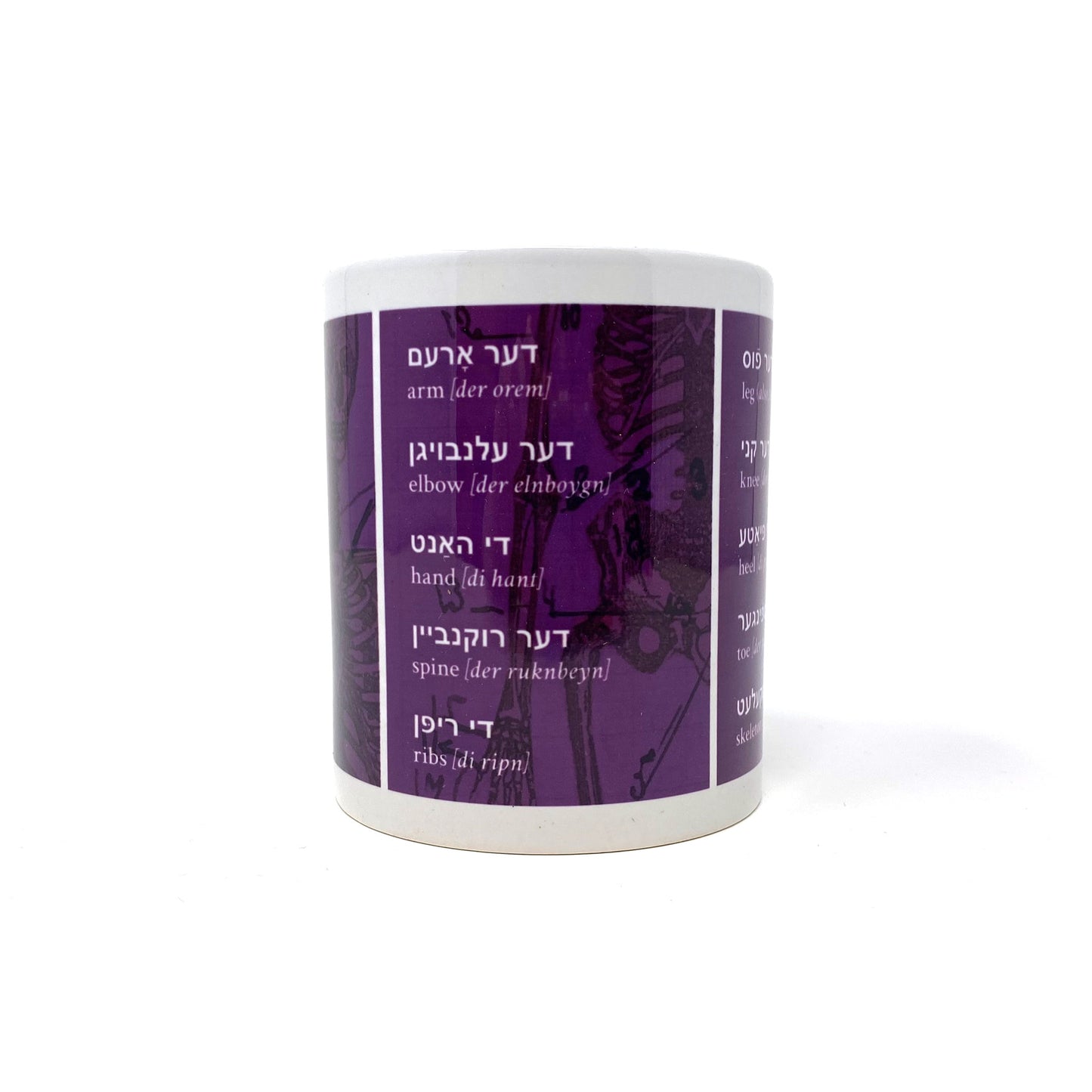 Yiddish Anatomy Mug