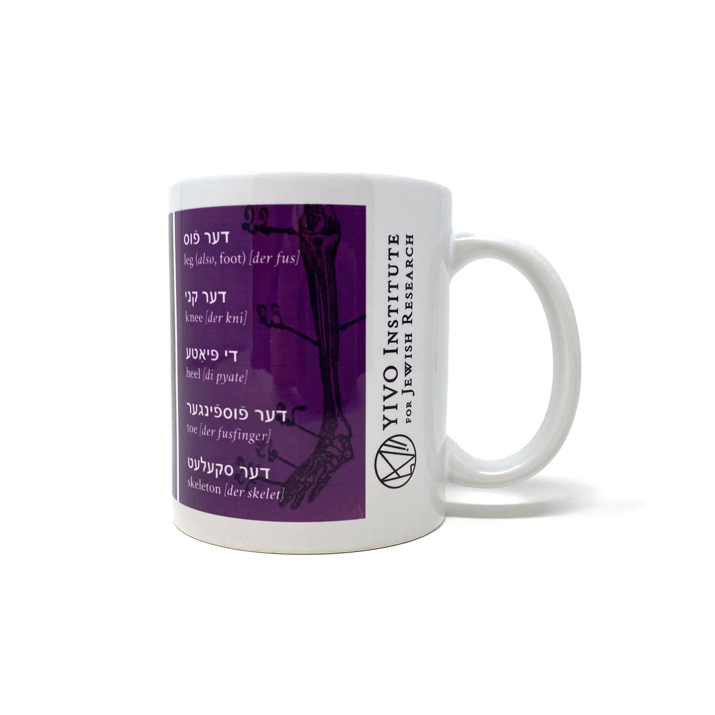 Yiddish Anatomy Mug