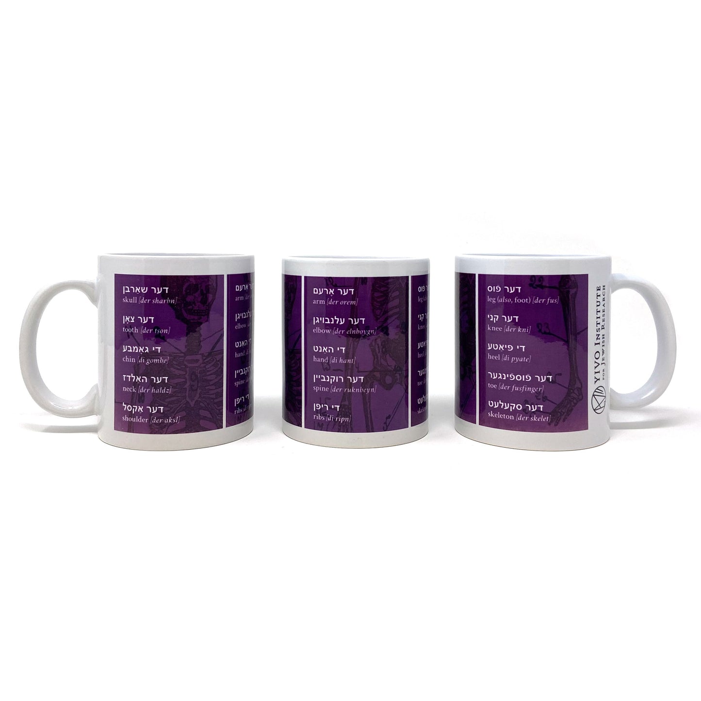 Yiddish Anatomy Mug