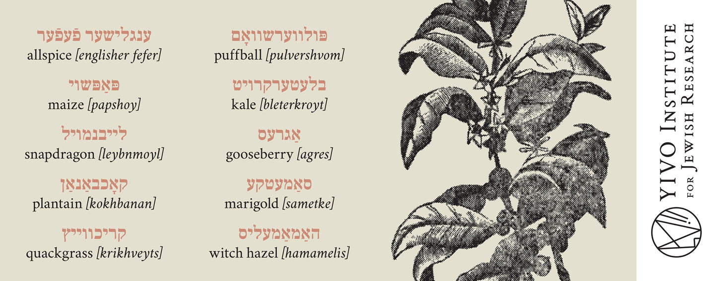 Yiddish Plants Mug