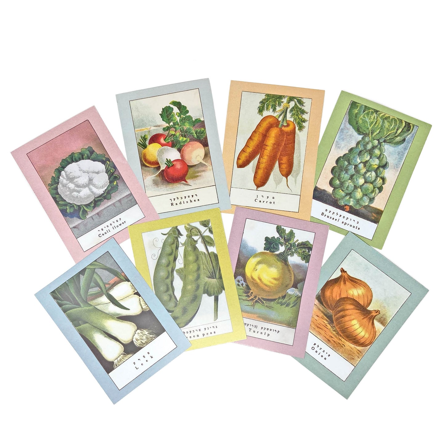 Vegetable Postcard Set