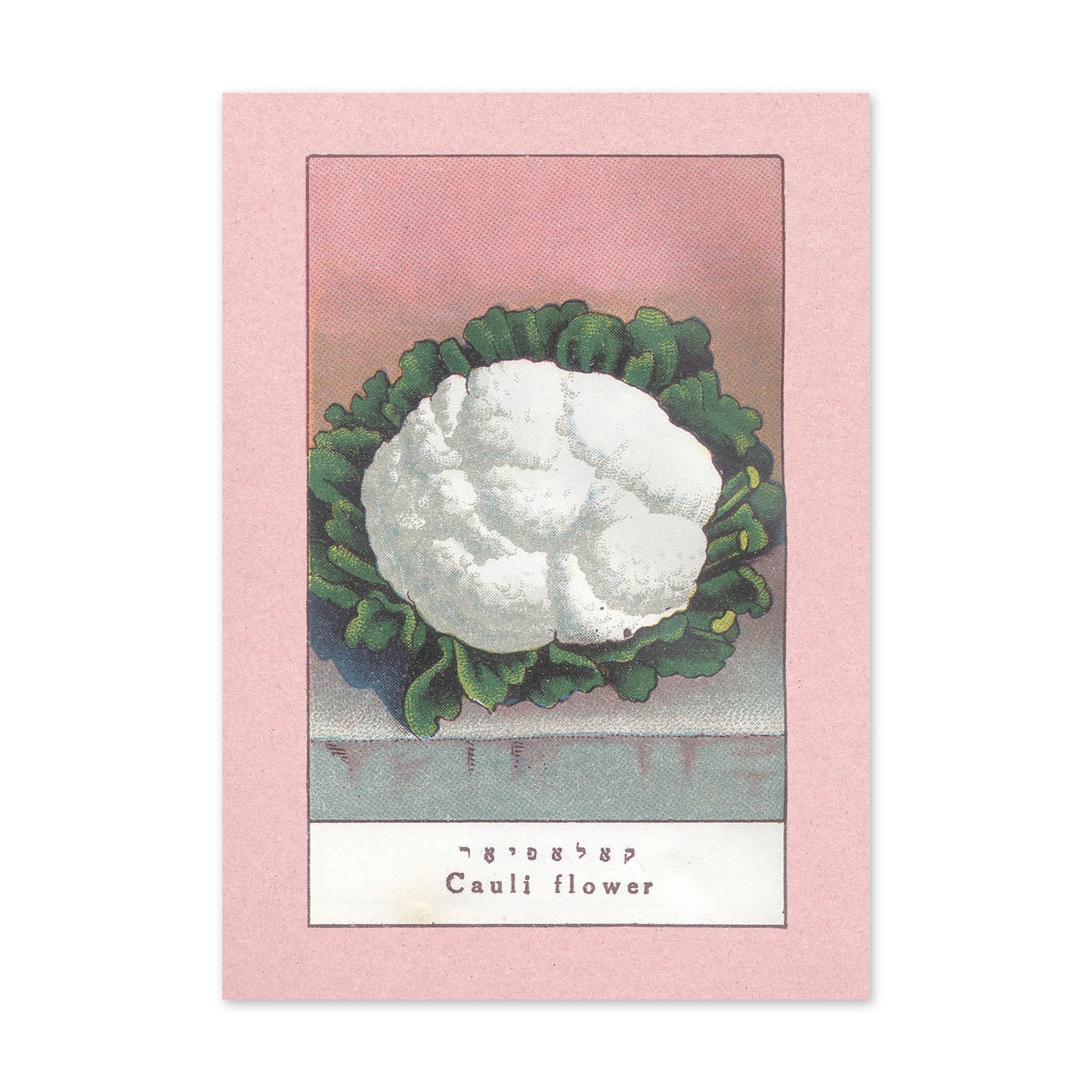 Vegetable Postcard Set
