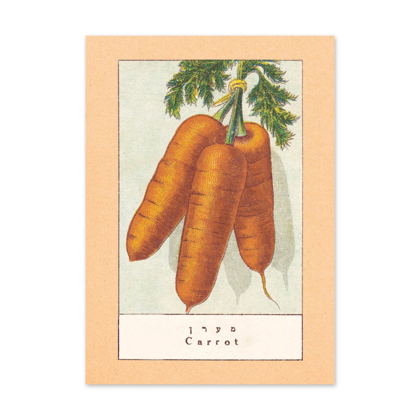 Vegetable Postcard Set