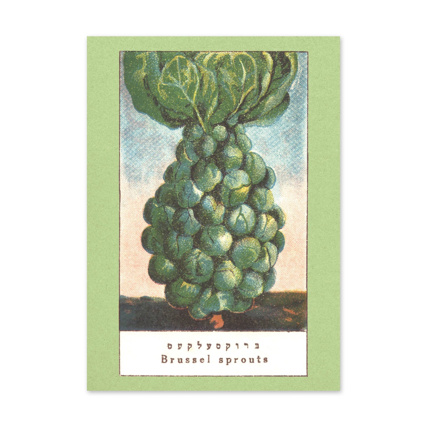 Vegetable Postcard Set