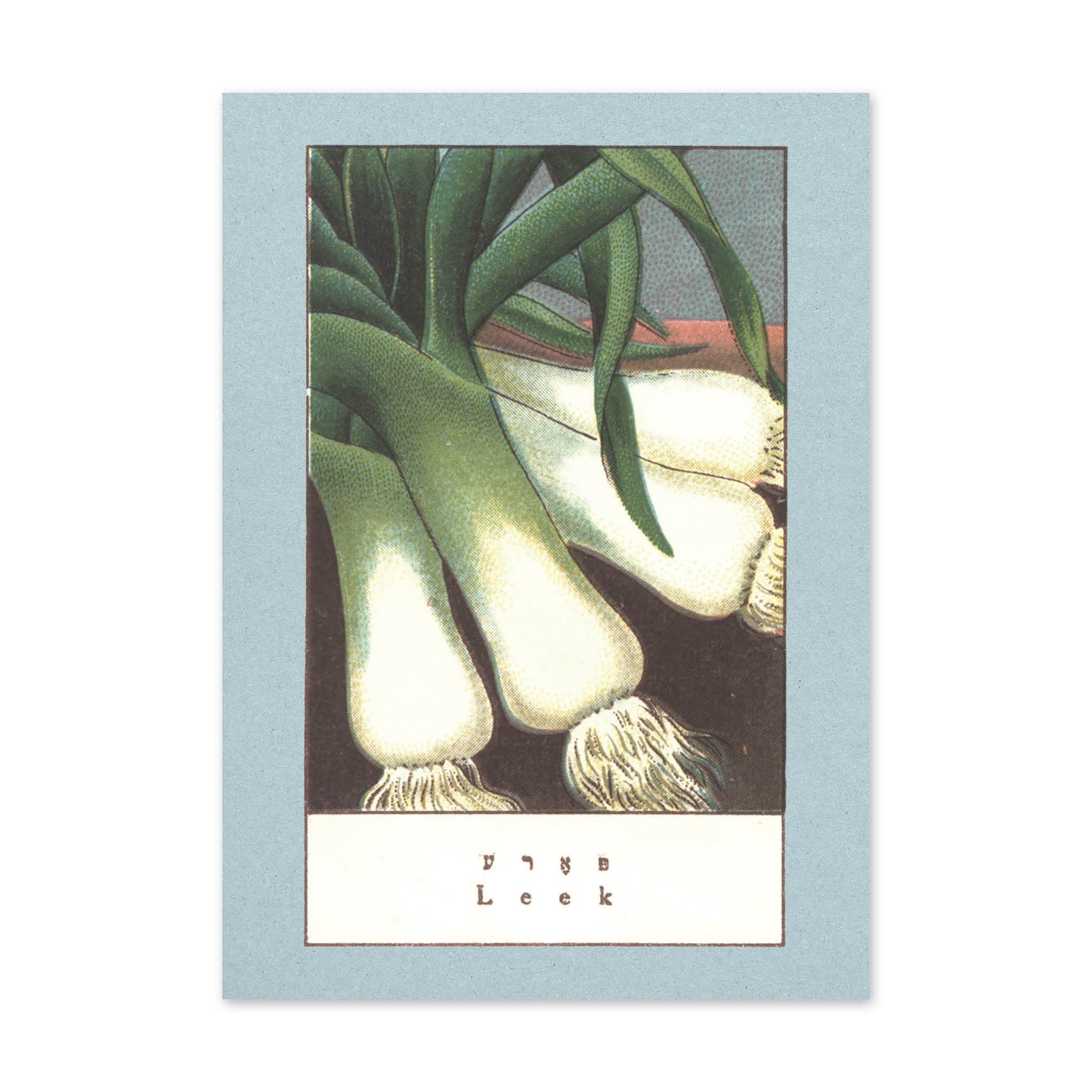 Vegetable Postcard Set