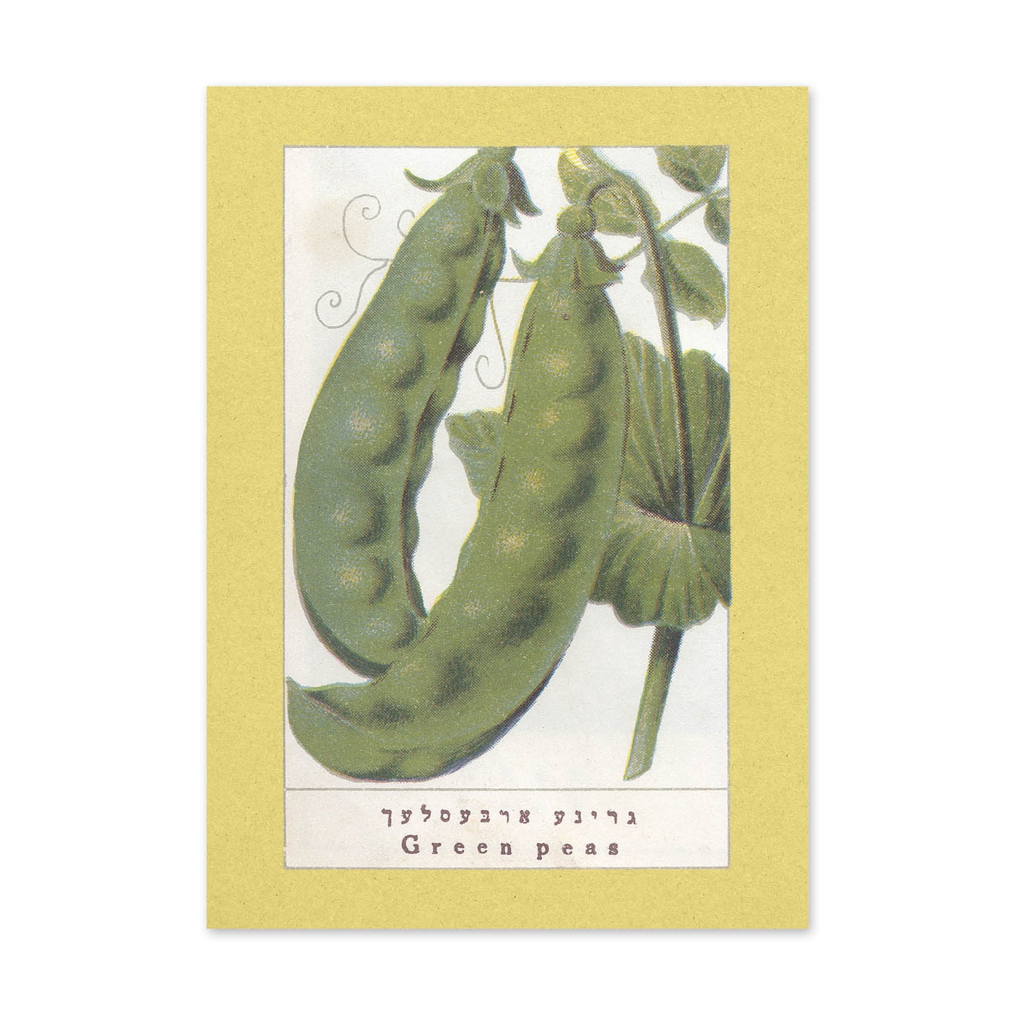 Vegetable Postcard Set