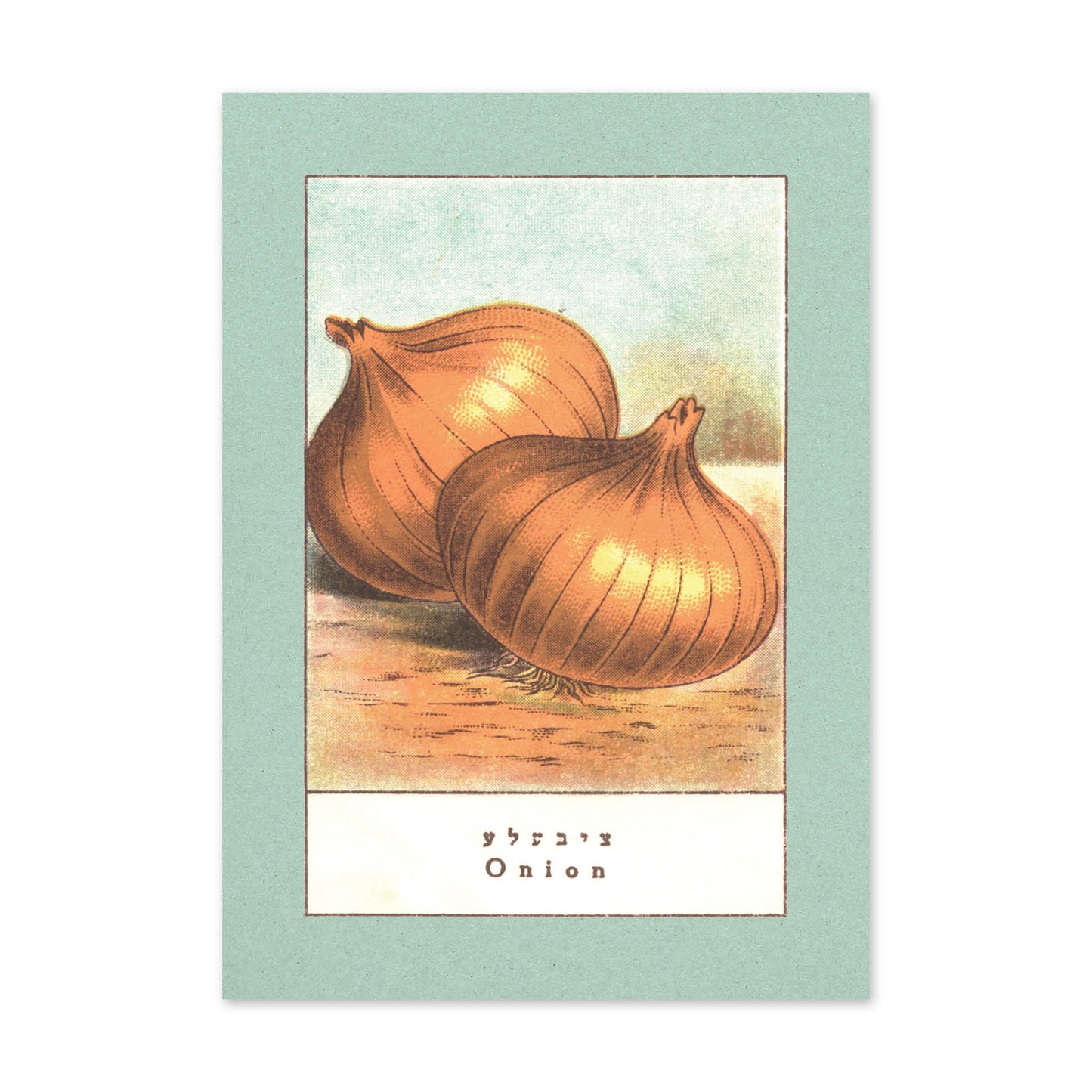 Vegetable Postcard Set