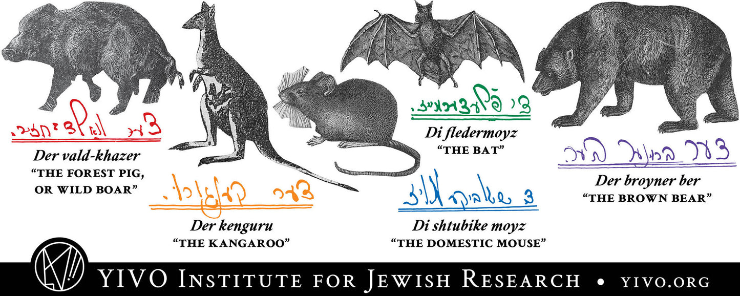 Yiddish Animals Mug (Misprinted)