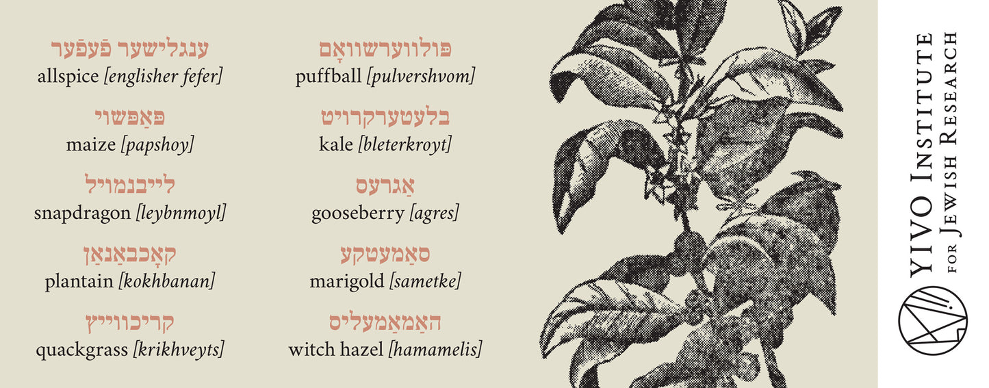 Yiddish Plants Mug